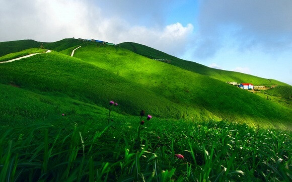 江西武功山盛夏风光