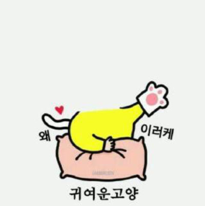 抠图 背景 素材