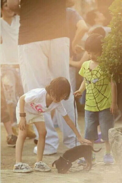 心机狗，哼哼