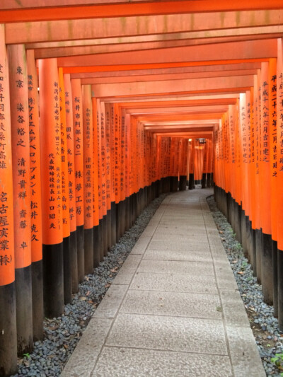 千本鸟居