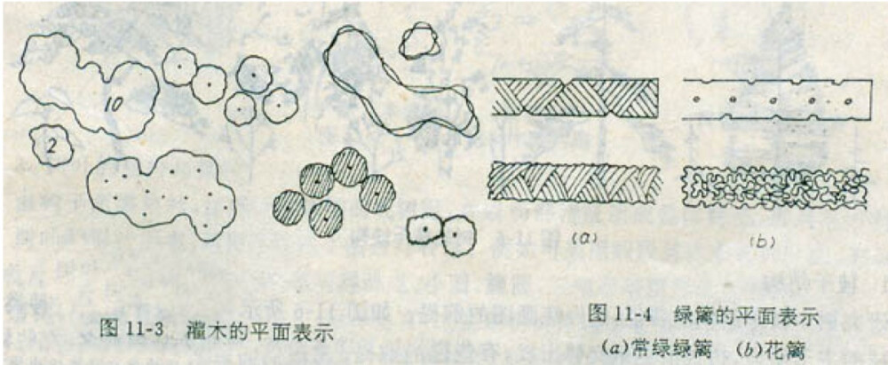 平面图