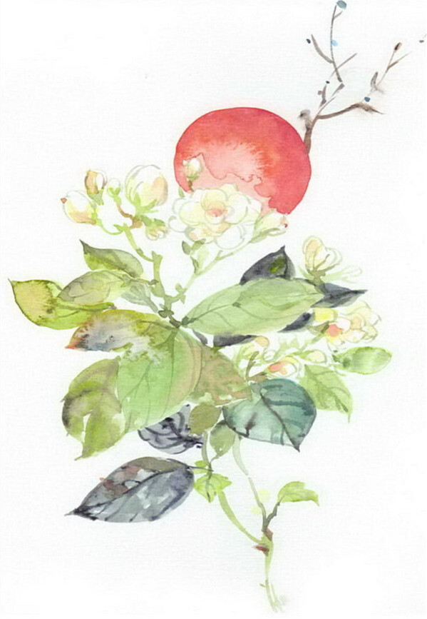 花草水墨封面淡雅唯美插画古风