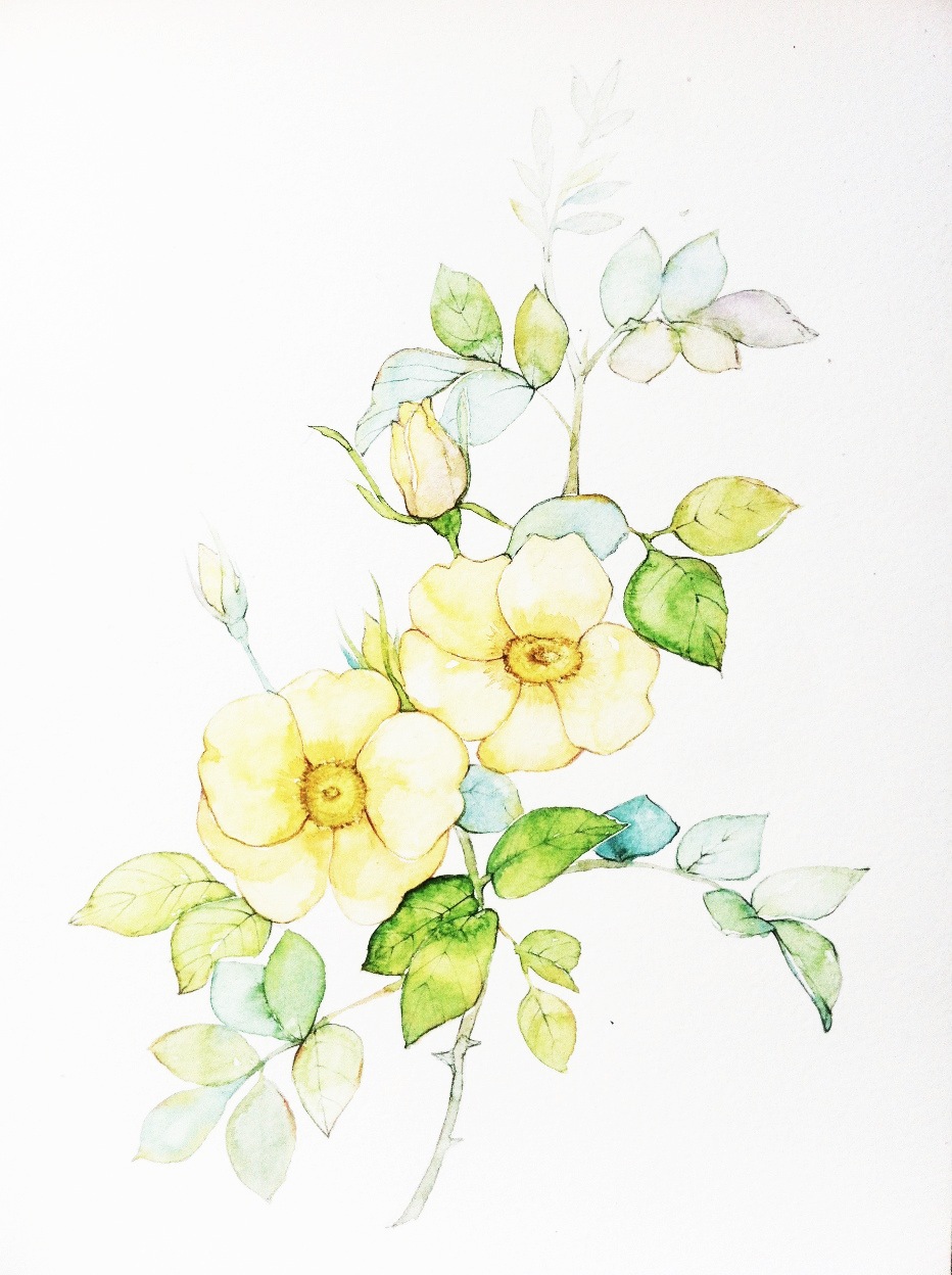 花草水墨封面淡雅唯美插画古风