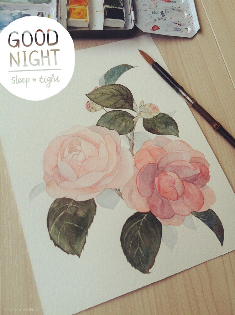 花草、水墨、封面、淡雅、唯美、插画、古风