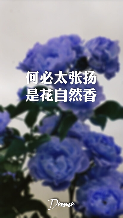 何必太张扬，是花自然香