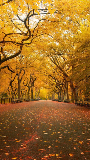 美景 风景 美图 高清 壁纸 美丽的景色，是最好的治愈。喜欢请点赞哦❤️～