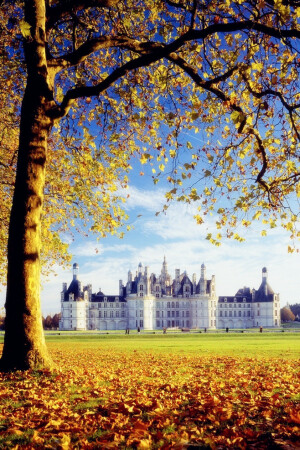 Chateau de Chambord, Loire Valley,France。法国卢瓦尔河谷香波堡。香堡是卢瓦尔河谷地区又一座神奇的所在。它兴建于弗朗索瓦一世，是法国王室狩猎的行宫。然而当初修建城堡的动机却仅仅因为弗朗索瓦一世爱上了住在这里的一位姑娘。这是卢瓦尔河谷所有城堡中最大的一个，城堡内共有 440 个房间，84 处楼梯，光烟囱就有 365 个。香堡的建筑风格结合了法国传统的建筑艺术和意大利文艺复兴的影响，被法国人视为国宝。1981年，香堡列入了世纪遗产名录。