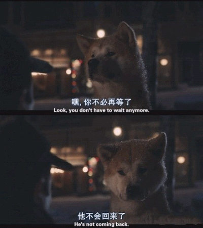 忠犬八公的故事