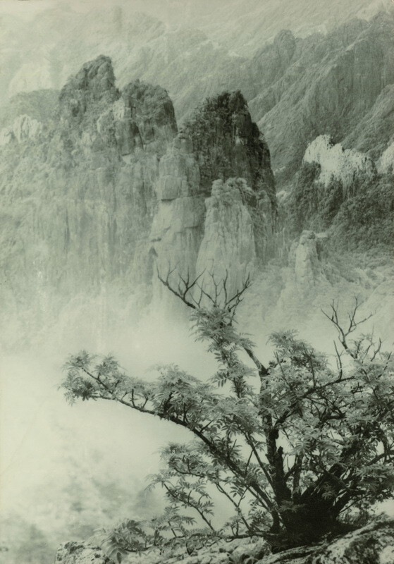 《春树奇峰》，郎静山（1892年—1995年），浙江兰溪人，中国最早的摄影记者。郎静山创立的集锦摄影，在世界摄坛上独树一帜。一生酷爱摄影，共有1000多幅次作品在世界的沙龙摄影界展出。曾经获得美国纽约摄影学会颁赠的1980年世界十大摄影家称号。他是以中国绘画的原理，应用到摄影上第一个人。为了反映时空中各种不同的“气”，郎静山发明了复杂的“集锦摄影”，并赢得了“影中有画，画中有影”的赞誉。