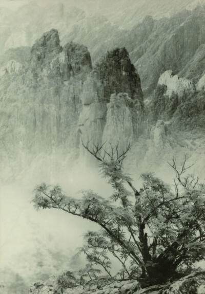 《春树奇峰》，郎静山（1892年—1995年），浙江兰溪人，中国最早的摄影记者。郎静山创立的集锦摄影，在世界摄坛上独树一帜。一生酷爱摄影，共有1000多幅次作品在世界的沙龙摄影界展出。曾经获得美国纽约摄影学会颁赠…