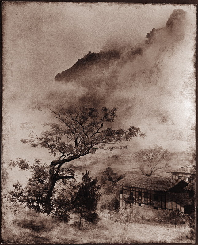 《云峰鸟语》，郎静山（1892年—1995年），浙江兰溪人，中国最早的摄影记者。郎静山创立的集锦摄影，在世界摄坛上独树一帜。一生酷爱摄影，共有1000多幅次作品在世界的沙龙摄影界展出。曾经获得美国纽约摄影学会颁赠的1980年世界十大摄影家称号。他是以中国绘画的原理，应用到摄影上第一个人。为了反映时空中各种不同的“气”，郎静山发明了复杂的“集锦摄影”，并赢得了“影中有画，画中有影”的赞誉。