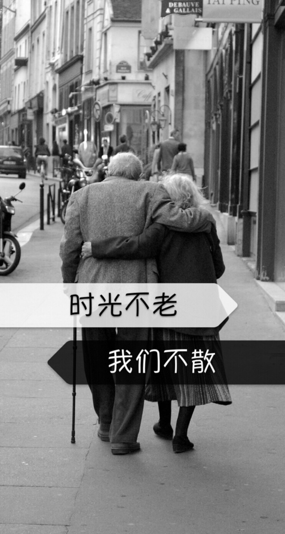 时光不老我们不散