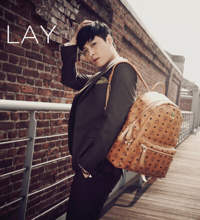 lay mcm