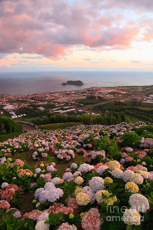 【葡萄牙--亚速尔群岛】Sao Miguel, Azores islands, Portugal。亚速尔群岛是一位于北大西洋中央的群岛，为葡萄牙领土。群岛由九个主要岛屿组成，包括圣米格尔、圣玛丽亚、法亚尔、皮库、圣若热、特塞拉、格拉西奥萨、弗洛里斯和科尔武，首府为蓬塔德尔加达（位于圣米格尔岛上）。亚速尔的9个岛屿中最著名的岛是圣米格尔岛（Sao Miguel），她是其中面积最大、居住人口最多（常住人口约15万人）的岛屿。