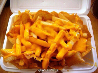 Cheese fries芝士薯條