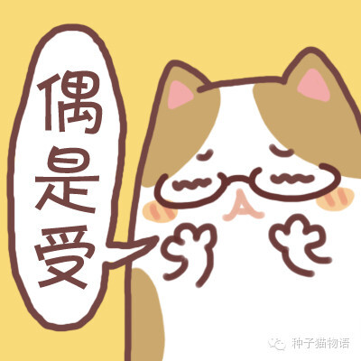 更多表情，壁纸关注微信公众号@种子猫物语 新浪微博@seedcat种子猫