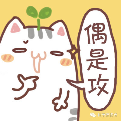 更多表情，壁纸关注微信公众号@种子猫物语 新浪微博@seedcat种子猫