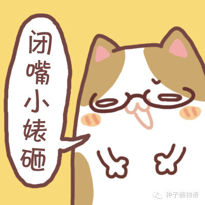 更多表情，壁纸关注微信公众号@种子猫物语 新浪微博@seedcat种子猫