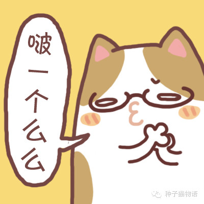 更多表情，壁纸关注微信公众号@种子猫物语 新浪微博@seedcat种子猫