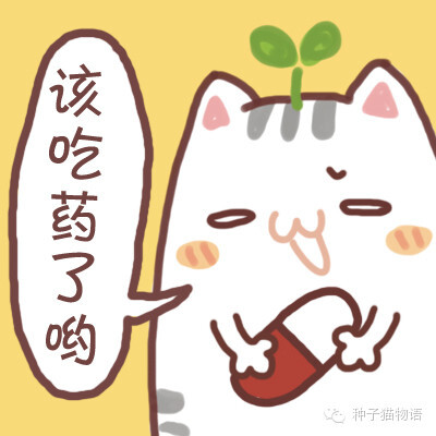 更多表情，壁纸关注微信公众号@种子猫物语 新浪微博@seedcat种子猫