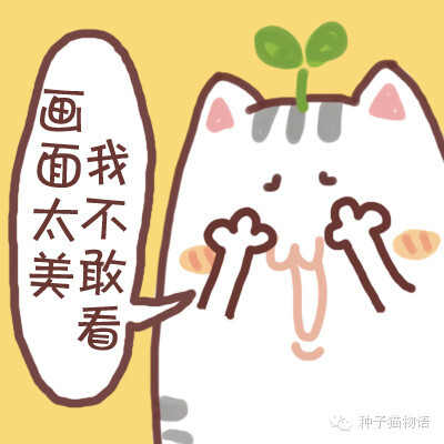 更多表情，壁纸关注微信公众号@种子猫物语 新浪微博@seedcat种子猫