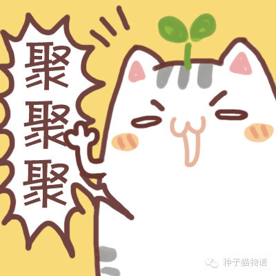 更多表情，壁纸关注微信公众号@种子猫物语 新浪微博@seedcat种子猫