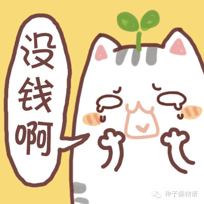 更多表情，壁纸关注微信公众号@种子猫物语 新浪微博@seedcat种子猫