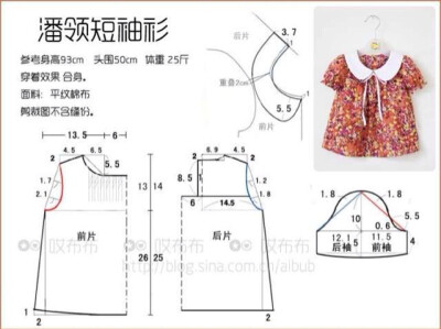 彼得潘领短袖衫