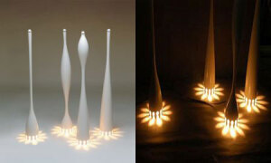 属于地上的美景