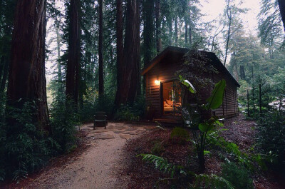 穿过这片丛林，那里有我的屋子，冬暖夏凉，虽小却足够温暖…