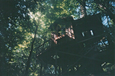 属于我的_树屋.