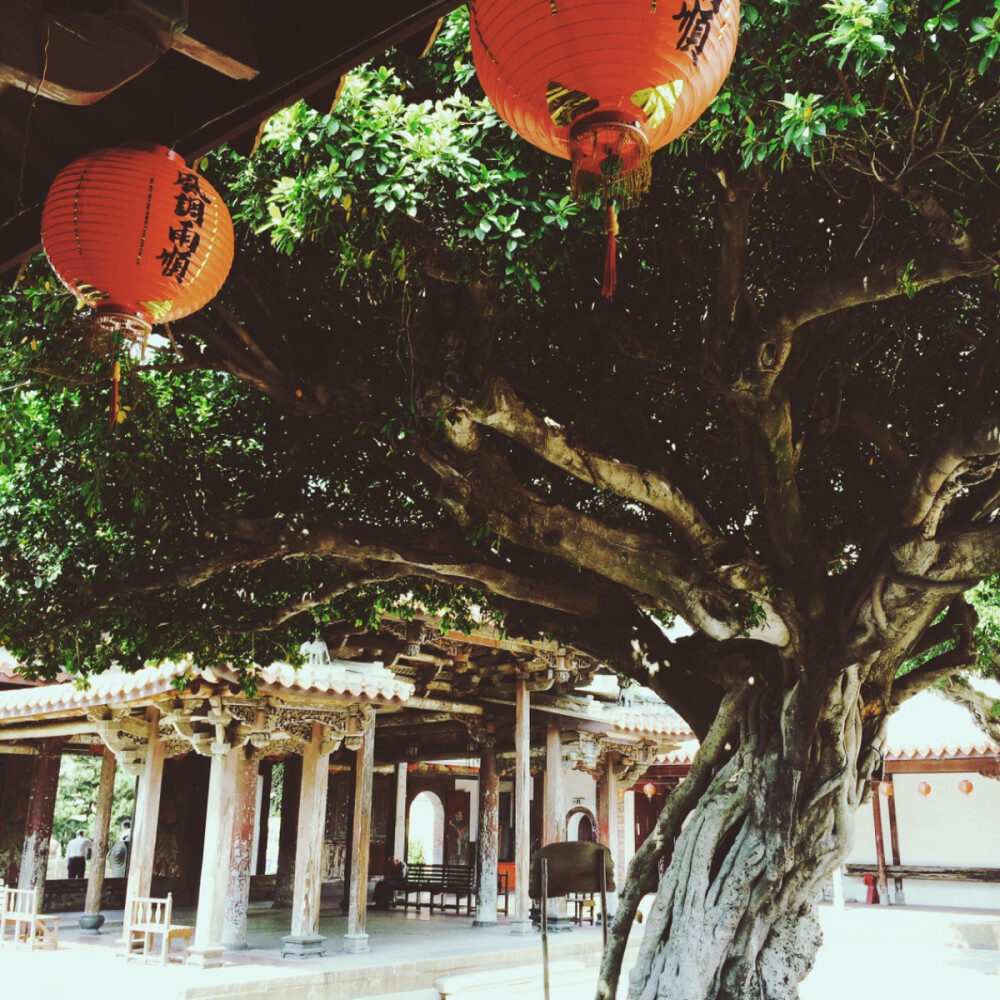 鹿港小鎮中的龍山寺。禮堂門前有兩株非常茂盛的樹木，即使已在金秋十月也是如此。圖片by～寶貝熊