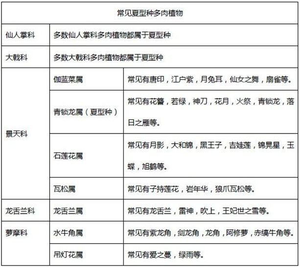 常见多肉养护简易技巧1