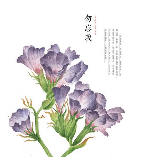 花草、水墨、封面、淡雅、唯美、插画、古风