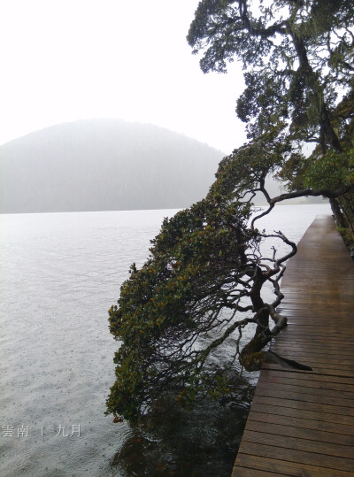 云南 - 不去走怎麼會知道沿途風景不美呢？