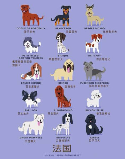 Q版法国犬