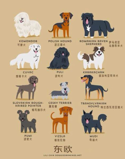 Q版东欧犬