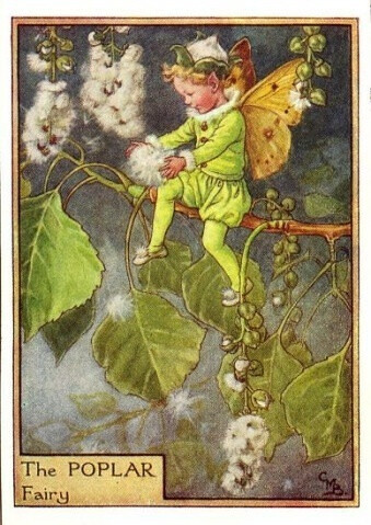 Cicely Mary Barker