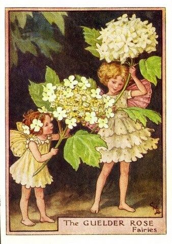 Cicely Mary Barker