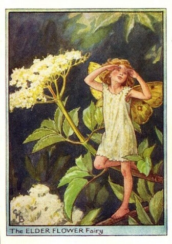 Cicely Mary Barker