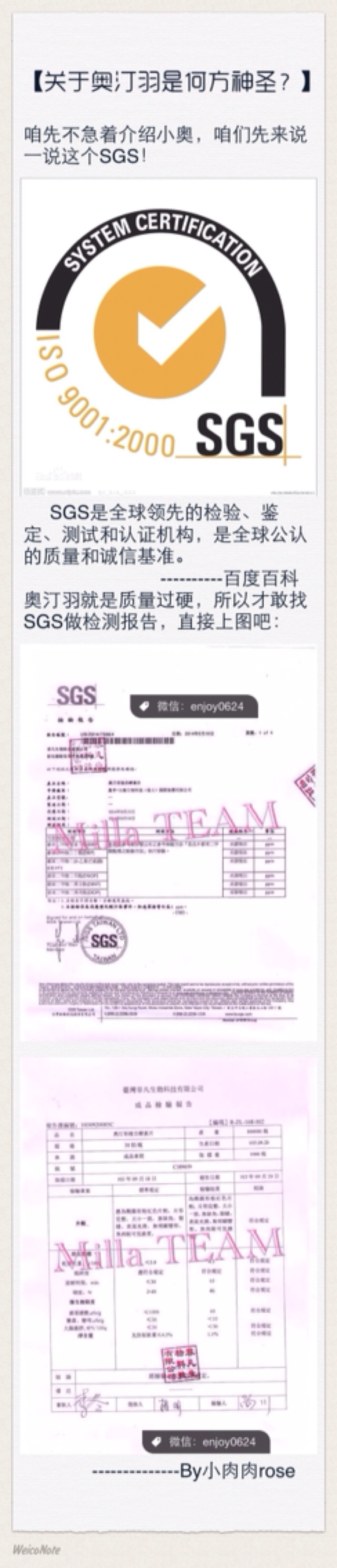 什么是SGS？