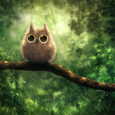 owl【owl city】稀饭这枚