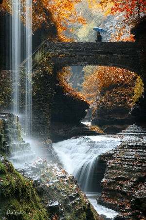 Watkins Glen State Park, New York, USA。美国纽约州沃特金斯峡谷州立公园。这是一个大约有400 英尺深的狭窄峡谷里的千年幽谷。一条小溪顺势而下，这条小溪周围的石头主要由软页岩组成，也有一些较硬的砂岩和石灰岩。据说这个地区的岩石属于泥盆纪沉积岩，是割裂的高原，而这割裂的高原因为有一些断层变形而升高。溪水在宽阔处变得平缓，在狭窄处变得湍急，每到有落差的断层处，溪水就变成了大小长短不一的瀑布，其中有名的瀑布有：彩虹瀑布，铁链瀑布等。