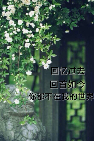 后来，我们终于相遇。