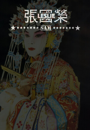 分割字 张国荣 Leslie 哥哥 Sam君自制 未调版
