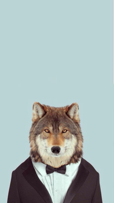 ：个人私藏*iPhone 6壁纸「动物头像」@狼