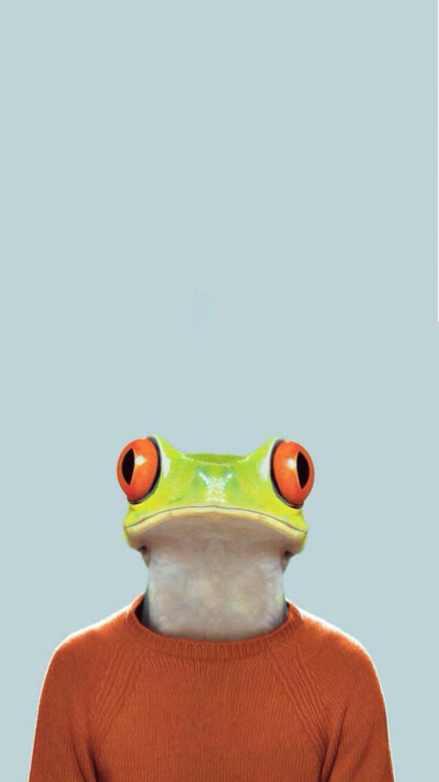 ：个人私藏*✨iPhone 6壁纸❤️「动物头像」@青蛙??