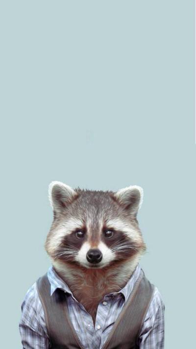 ：个人私藏*✨iPhone 6壁纸❤️「动物头像」@小浣熊~