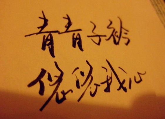 文字控 #青青子衿，悠悠我心#