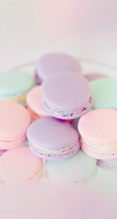 Macaroon colorful 馬卡龍 cr: line deco